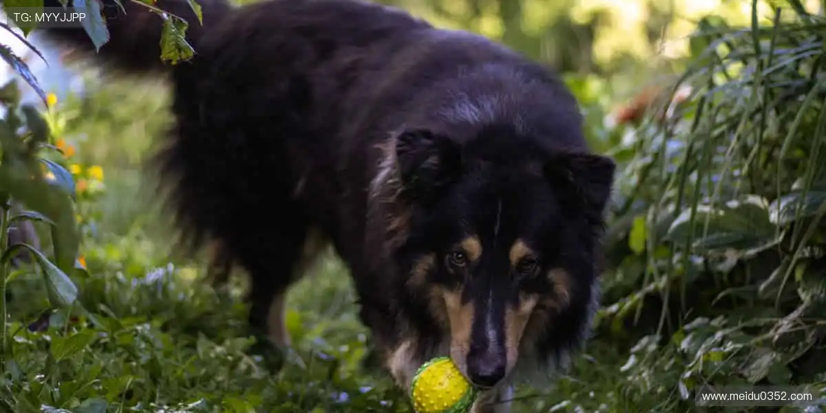 🚀从赛事到直播，再到周边，热爱永不缺席！✨